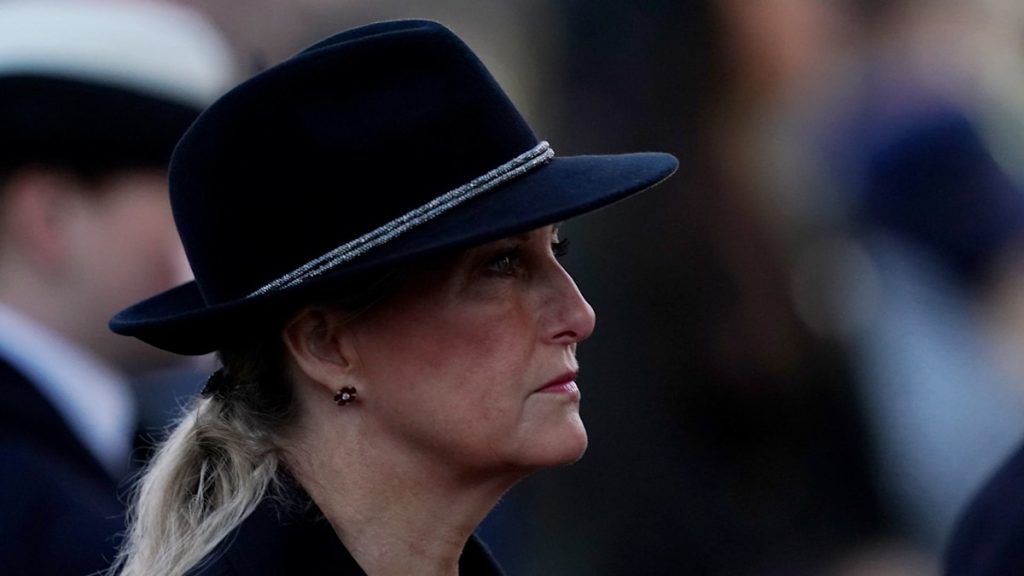 Duchess Sophie provides glittering edge to demure glance whilst filling in for King Charles