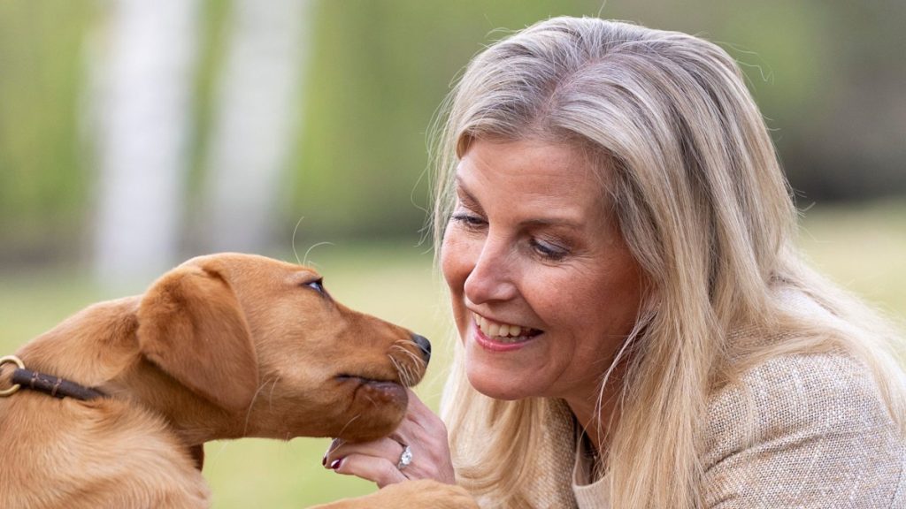 Duchess Sophie melts hearts with pups – highest pictures