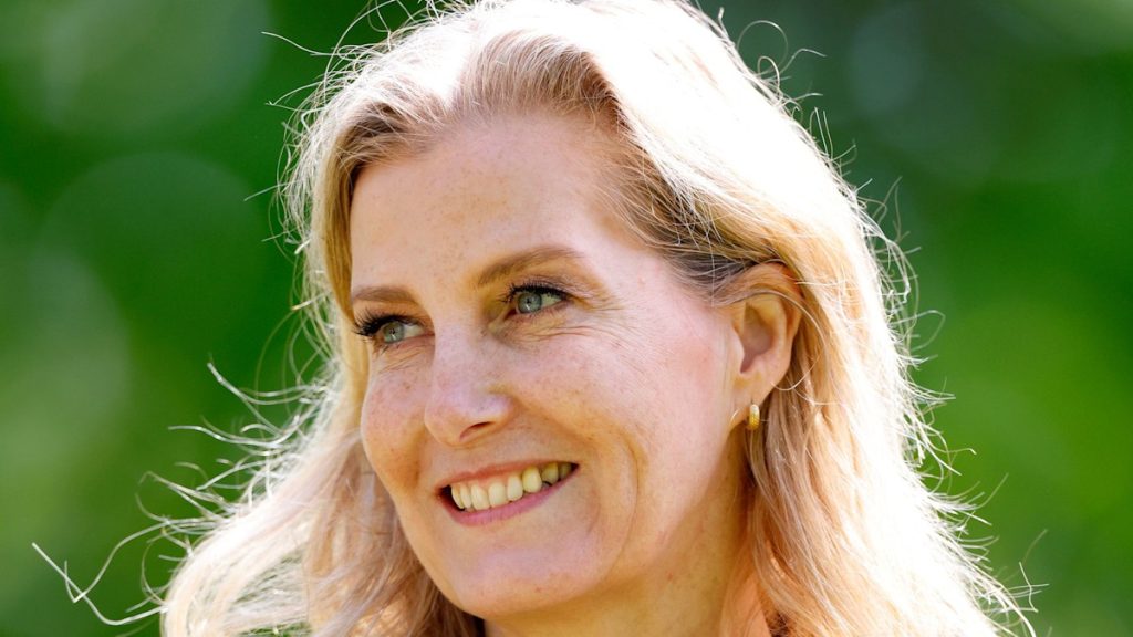 Duchess Sophie inadvertently finds ordinary décor inside of 130-room mansion