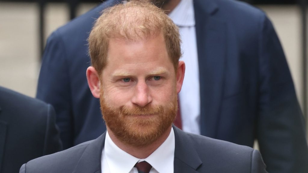 Prince Harry loses prison fight over UK safety coverage – reside updates
