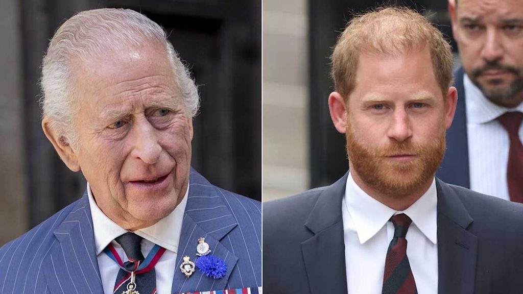 King Charles has ‘0 agree with’ in Prince Harry after public interview