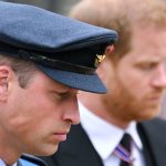 Published: How King Charles and Prince William discovered about Harry’s surprise BBC interview