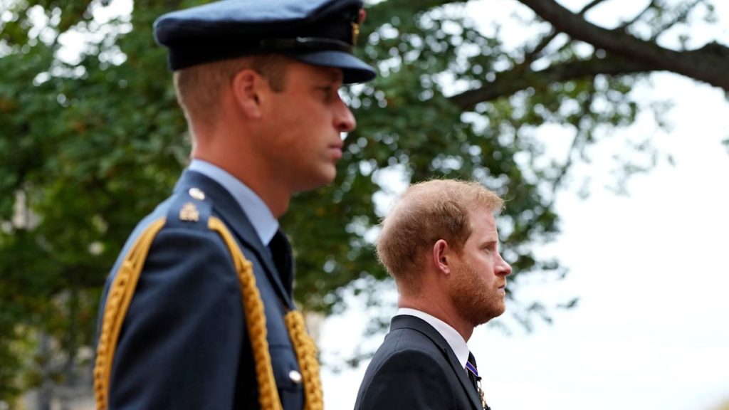 Prince Harry and Prince William’s rift brought about via this 3-letter phrase