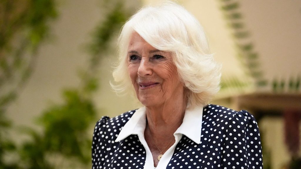 Queen Camilla makes uncommon remark about King Charles’ grandmother iconic picture