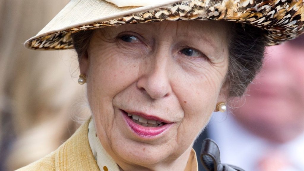 Princess Anne’s waist-cinching Royal Ascot glance is her spin on summer season 2025’s greatest development