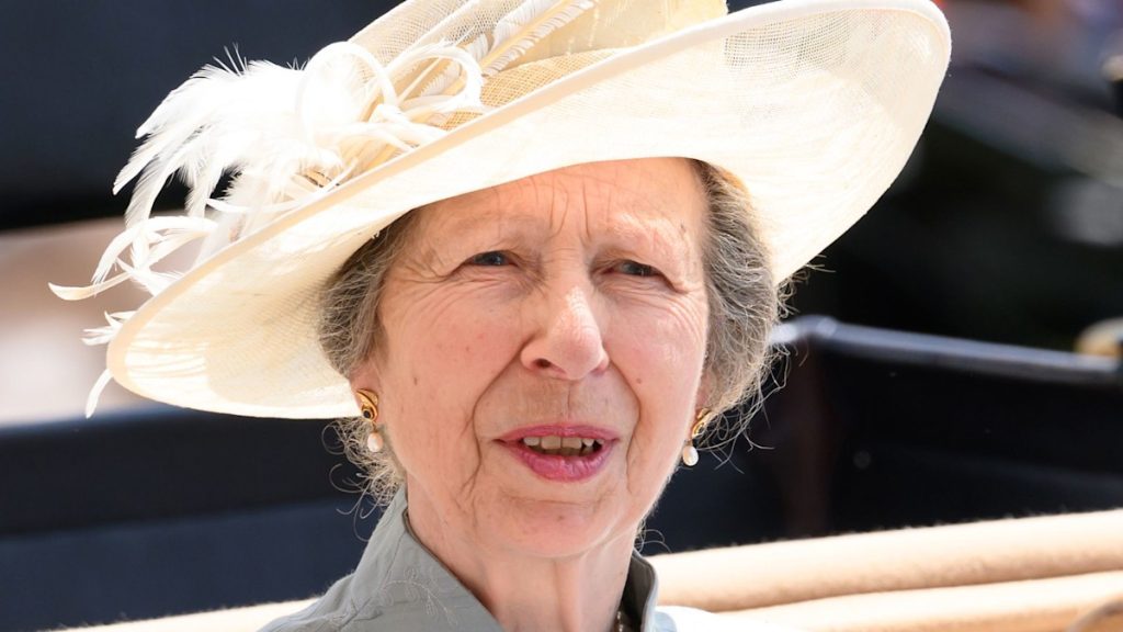 Royal circle of relatives LIVE: Laborious-working Princess Anne carries out primary engagement
