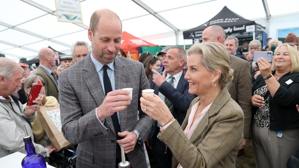 Prince William and Duchess Sophie are all smiles as they go back and forth to Cornwall in combination