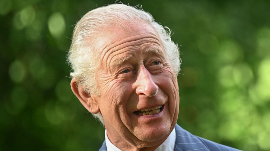 King Charles to surrender royal educate in modernising transfer