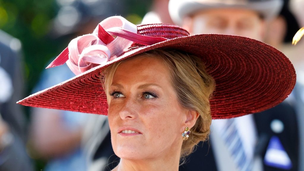 Duchess Sophie can be a ballerina in waist-defining get dressed