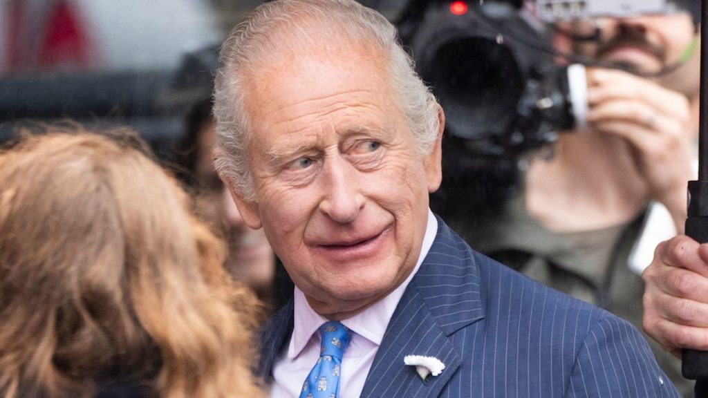 Royal circle of relatives LIVE: King Charles set for large reunion with siblings