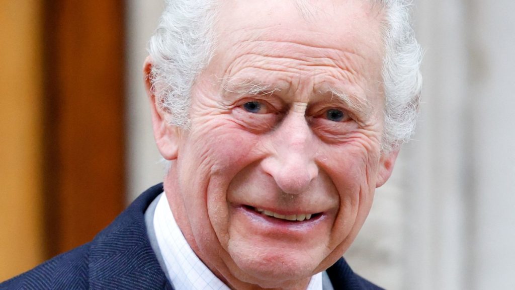 King Charles pictured in £170k electrical BMW – after swapping automobile run on cheese and wine