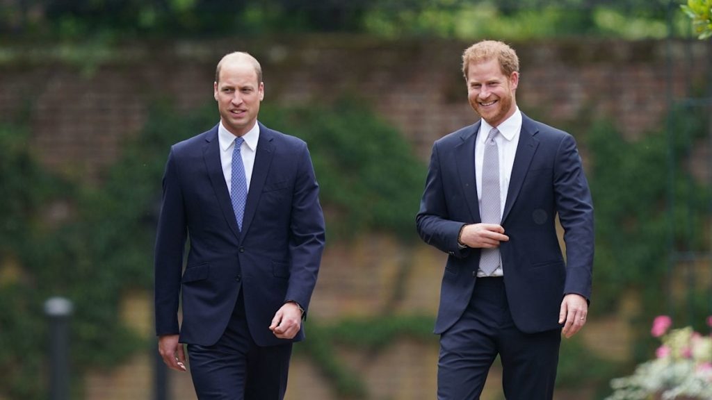 Have Princes William and Harry secretly bid on Princess Diana’s garments? Unique