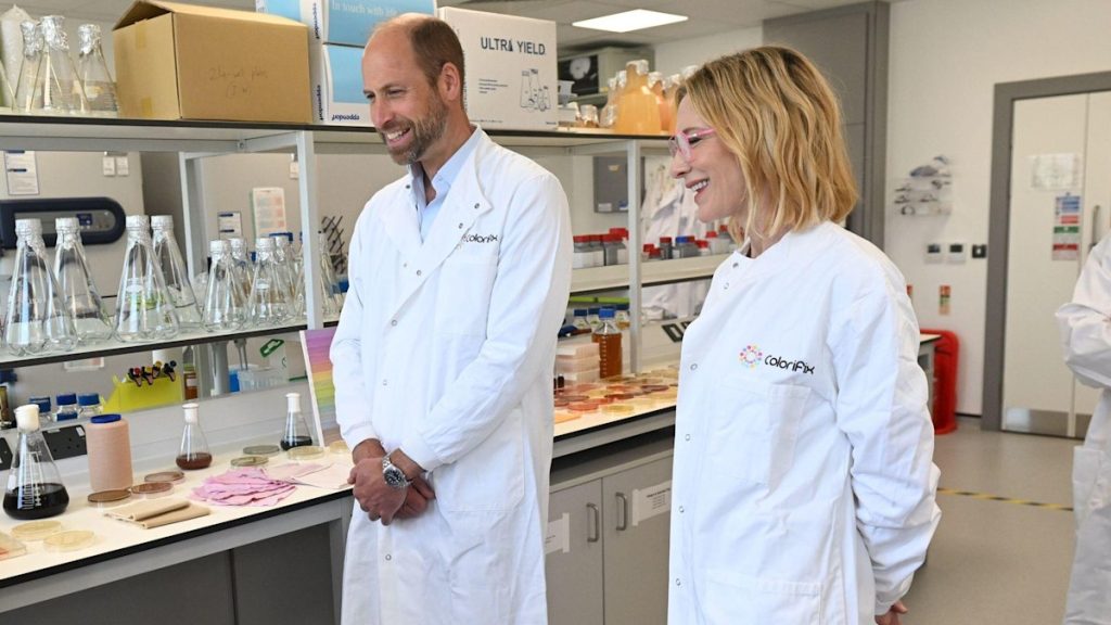 Prince William undertakes wonder time out with Hollywood celebrity Cate Blanchett – absolute best footage