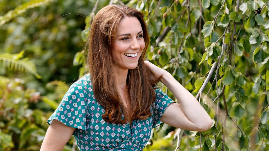 King Charles’ former adviser praises Princess Kate’s non-public trade after sickness