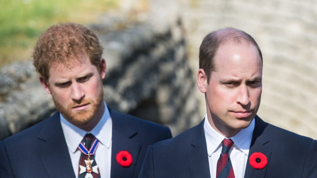 Heartbreak for Prince William and Prince Harry as circle of relatives member discovered useless at house 