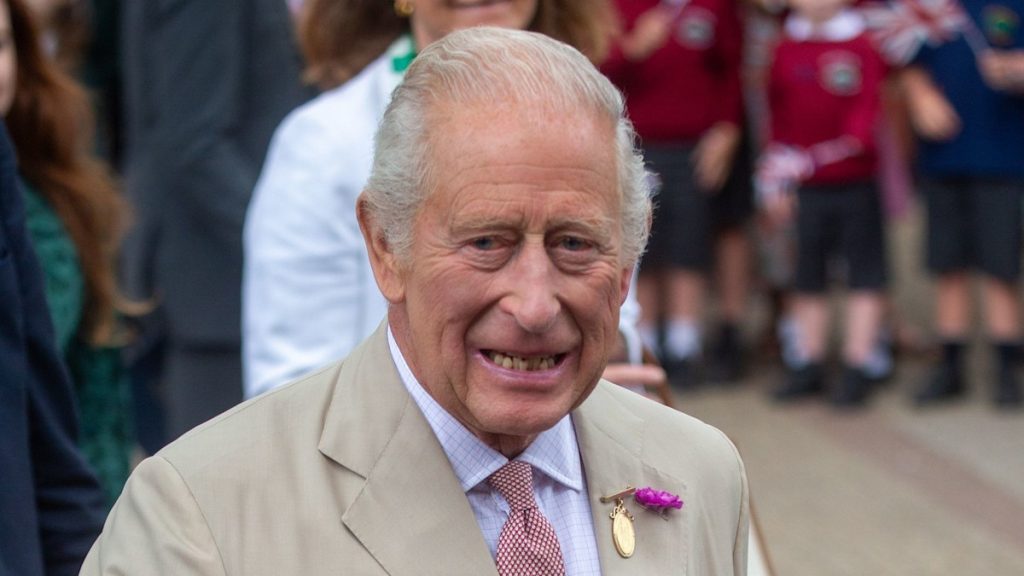 King Charles brushes off most cancers query with 5-word reaction