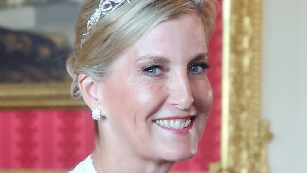 Duchess Sophie stuns in bridal sequins and extremely ‘non-public’ £1m tiara