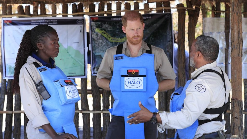 Prince Harry recreates Princess Diana’s well-known photograph as he visits minefield