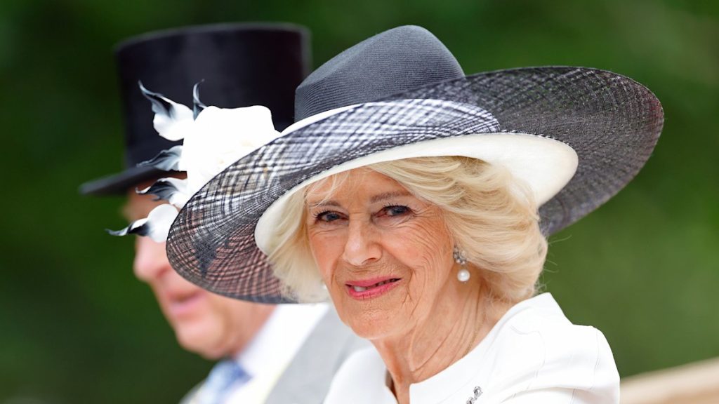 Queen Camilla appears to be like excellent in chic new birthday portrait