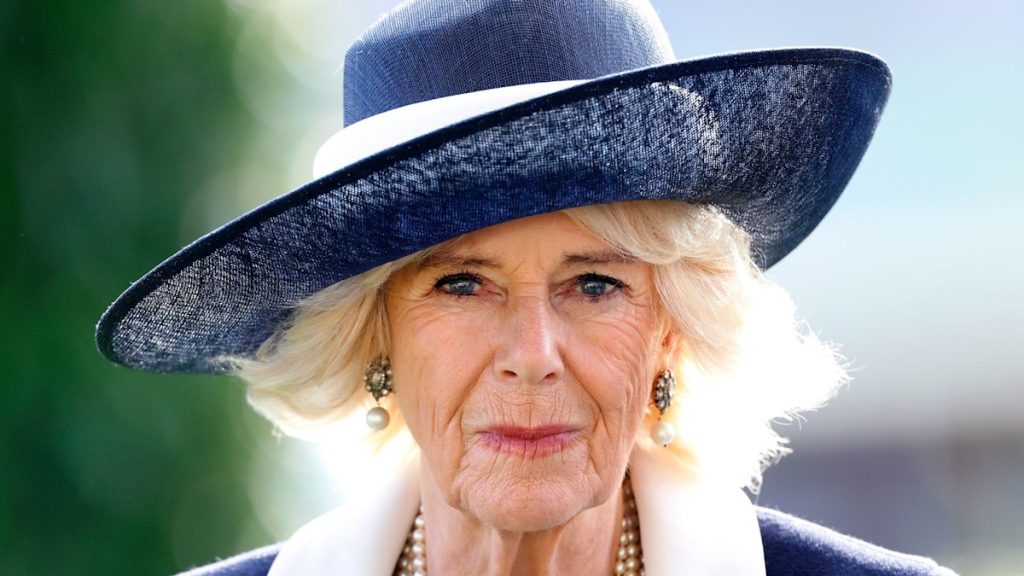 Queen Camilla’s charity pressured to make tricky determination following ‘persisted monetary pressures’