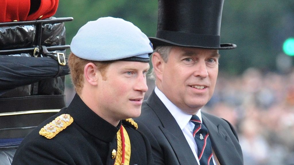 Prince Harry breaks silence over ‘bodily struggle’ with Prince Andrew and feedback on Meghan