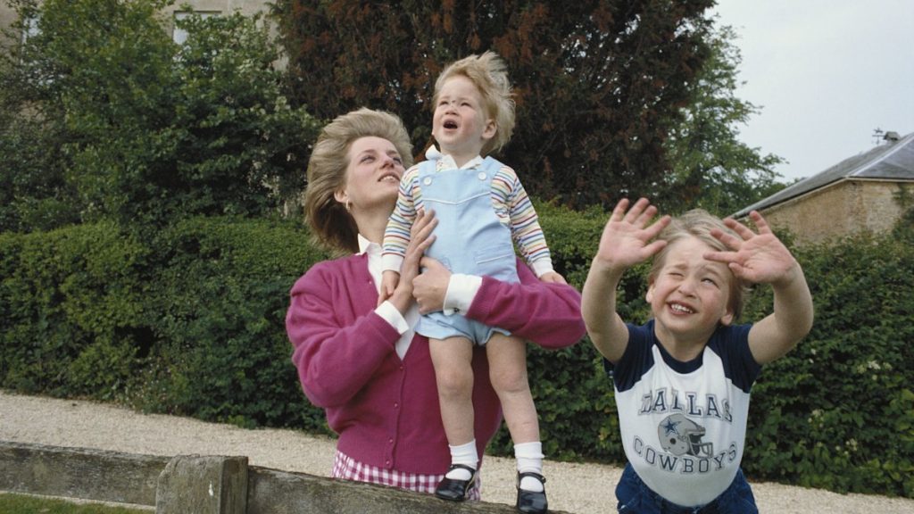 The only meals Princess Diana by no means had except sons William and Harry had been house