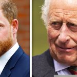Prince Harry ‘determined’ to heal rift with King Charles after royal fallout