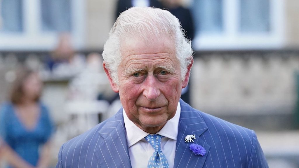King Charles providing distinctive alternative with ‘pivotal position’ in internal circle