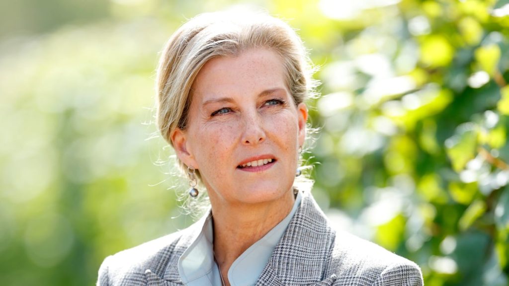 Duchess Sophie after all stocks why she did not attend Princess Diana’s funeral