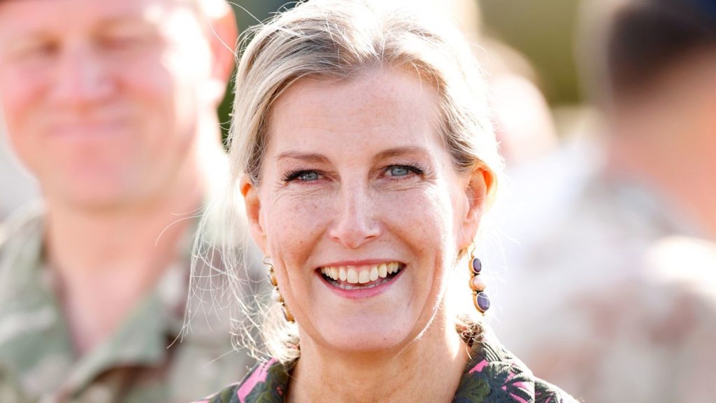 Duchess Sophie showcases ‘comfortable femininity’ within the belted sundress of summer season 2025