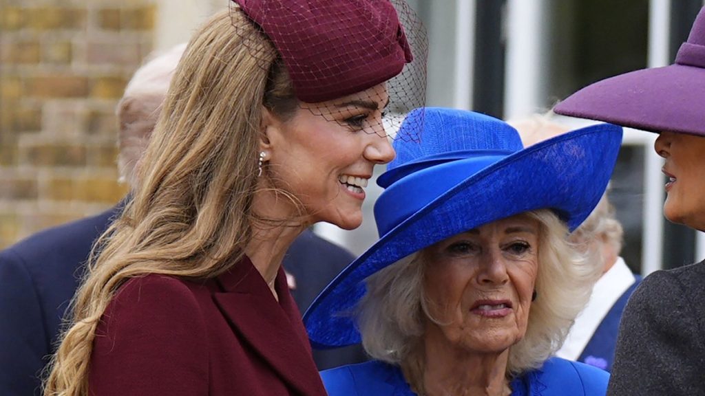 Watch the instant Queen Camilla nudges Kate Middleton right through state talk over with