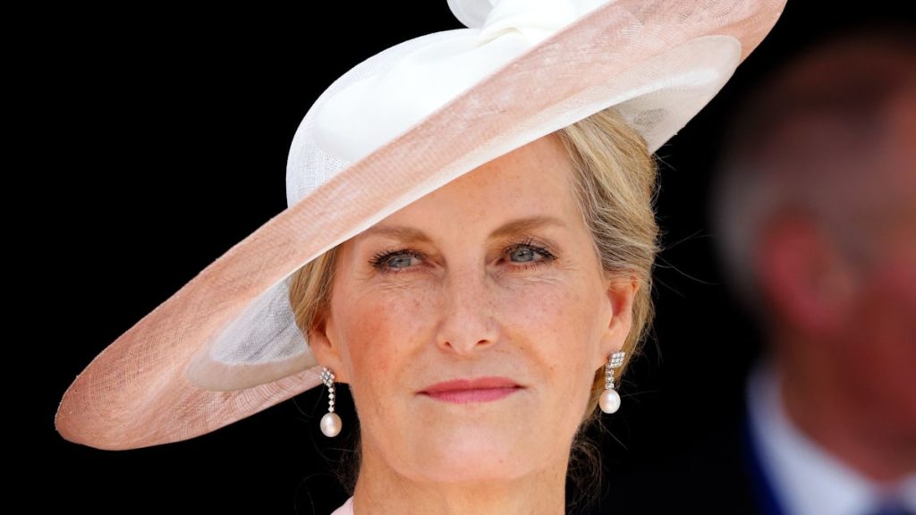 Duchess Sophie tasks ‘authority’ in wide-leg trousers everybody must personal