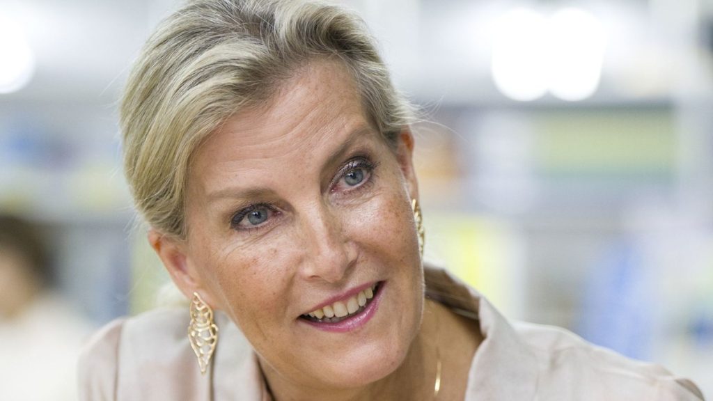 Duchess Sophie provides uncommon perception into daughter Girl Louise’s schooling all the way through Japan go back and forth