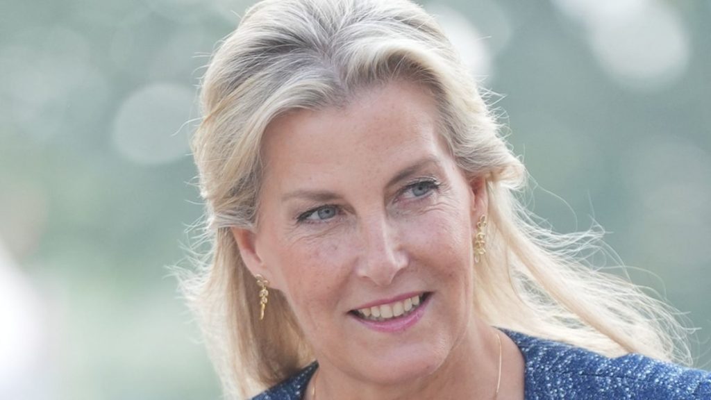 Duchess Sophie’s maximum ‘curated’ glance of 2025 with cinched daydress