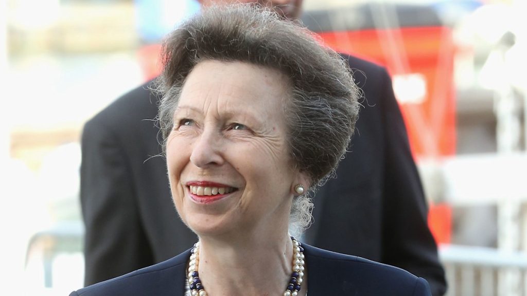 LIVE: Princess Anne helps to keep busy with 4 appearances together with Naval Kids’s Charity and extra
