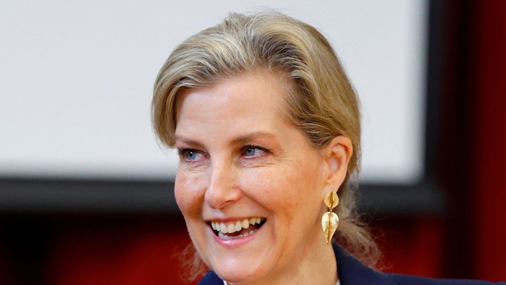 Duchess Sophie is going buying groceries in ‘adapted’ trade swimsuit – and mountain climbing boots