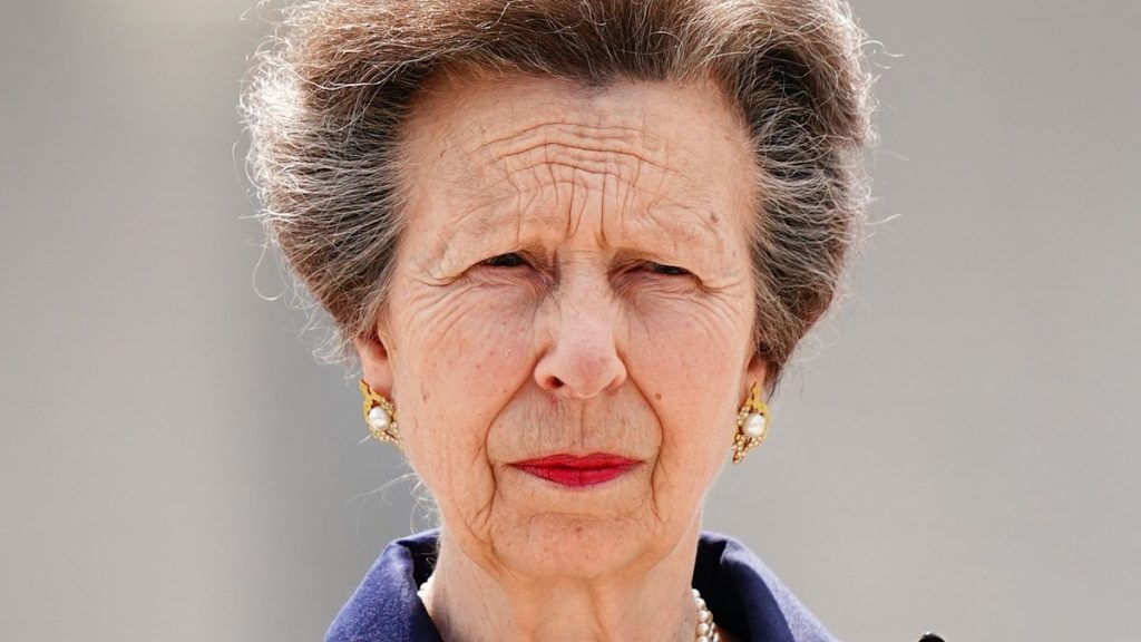 Princess Anne pressured to apologise after cancelling engagements on the ultimate minute