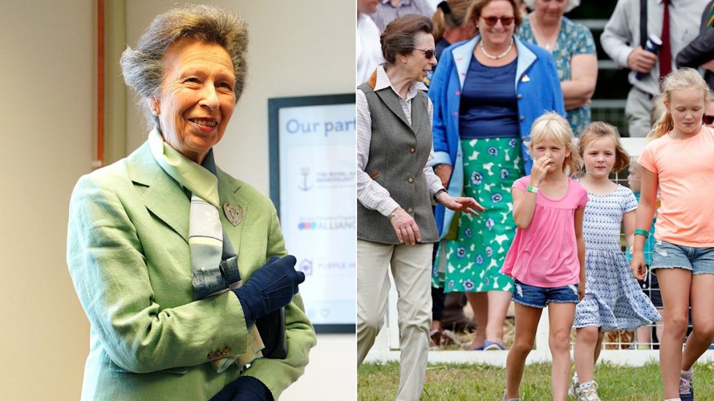 Princess Anne makes uncommon feedback on grandchildren throughout Portsmouth day out