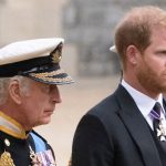 Why King Charles and Prince Harry’s non-public reunion happened at Clarence Area no longer Buckingham Palace