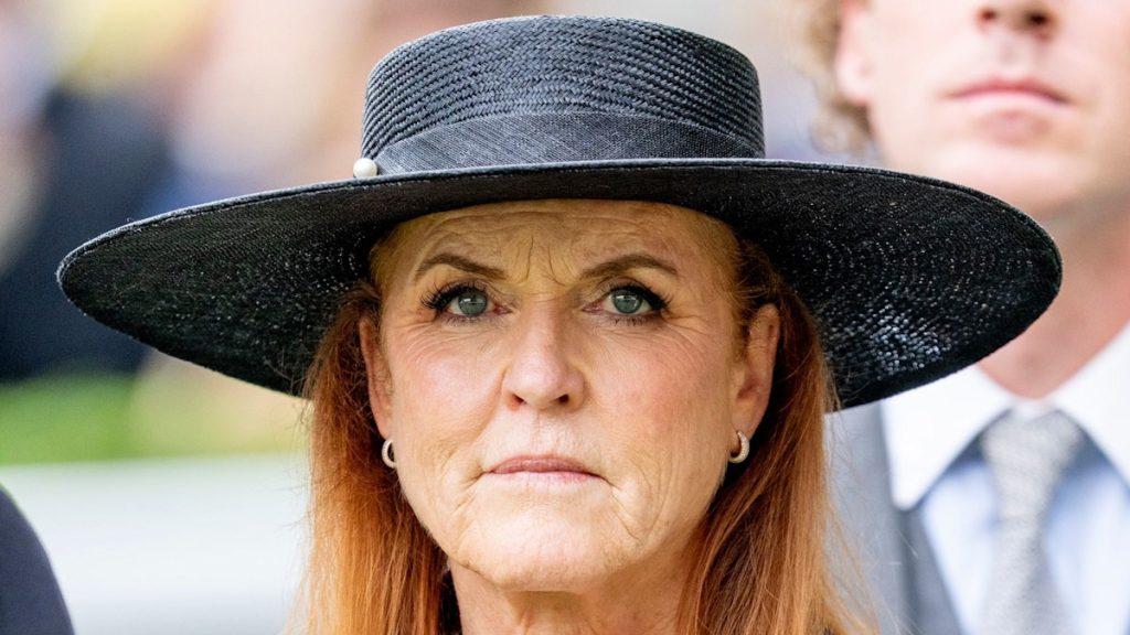 Every other charity severs ties with Sarah Ferguson amid Jeffrey Epstein electronic mail