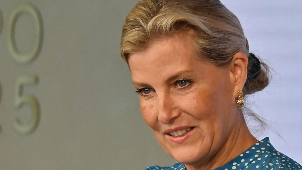 Duchess Sophie has an ‘approachable’ Cinderella second in floaty robe