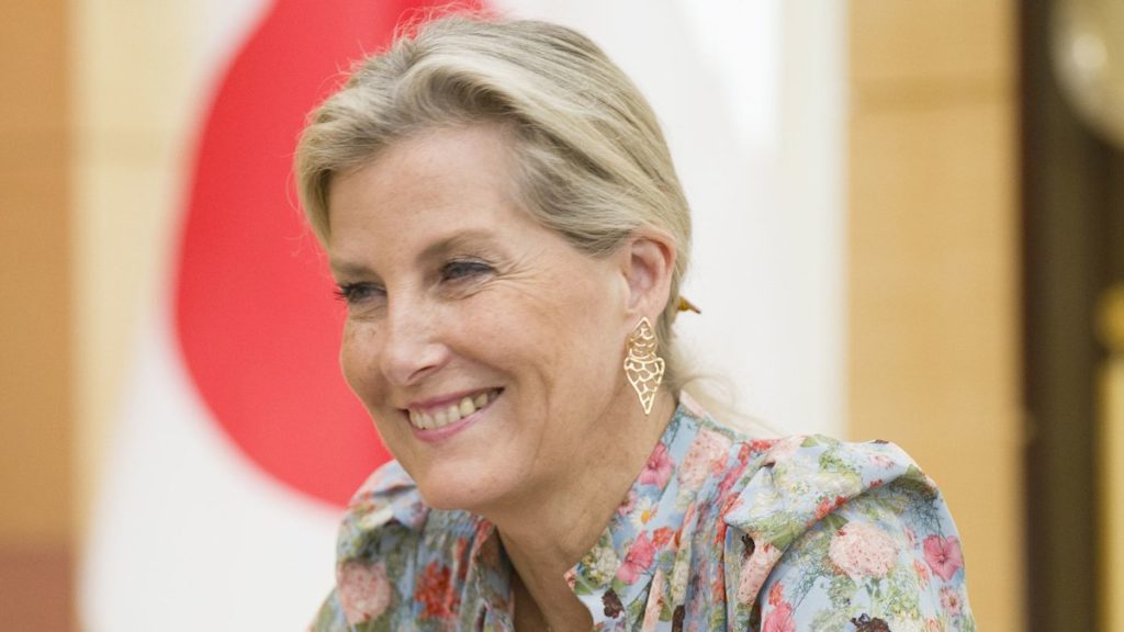 Duchess Sophie stuns in silky ‘dreamscape’ get dressed on day 2 of Japan consult with
