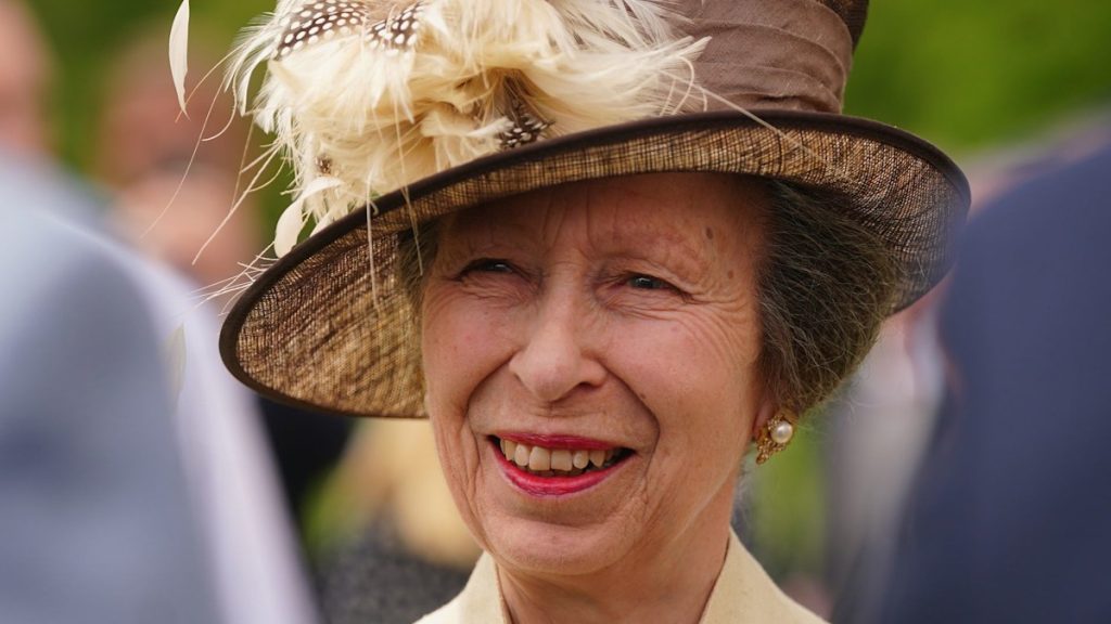 Royal circle of relatives LIVE: Princess Anne resumes royal tasks after summer time damage