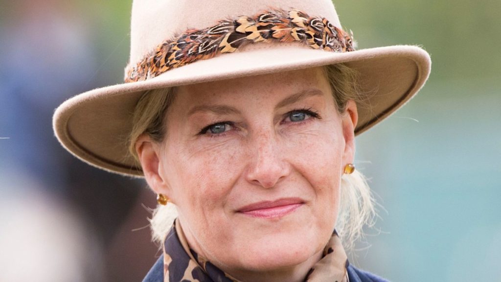 Duchess Sophie simply wore a ‘uncommon royal glance’ – and it is certainly one of her edgiest