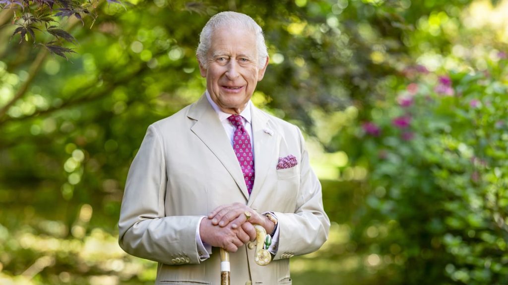 King Charles to megastar in documentary as he stocks stark caution