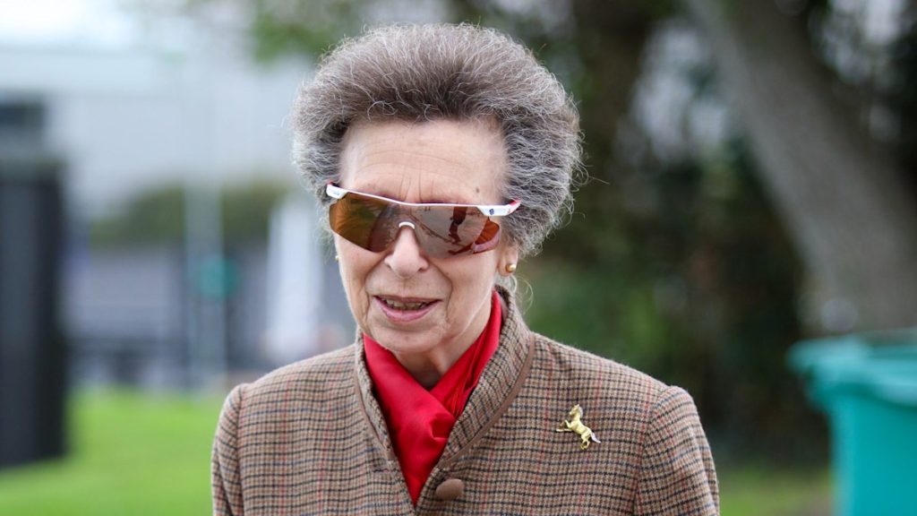 Princess Anne meets with Martin Clunes all through Dorset day trip