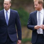Prince William and Prince Harry’s aunt injured after struggling ‘very dangerous fall’