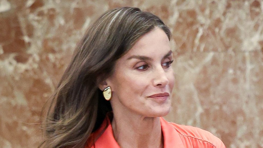 Queen Letizia oozes ‘flamboyance’ in silky Barbie purple and leather-based