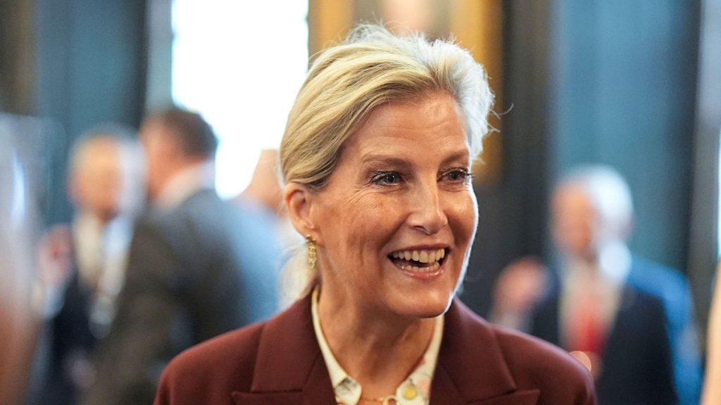 Duchess Sophie contrasts cinched wrap best together with her maximum informal hairdo of 2025