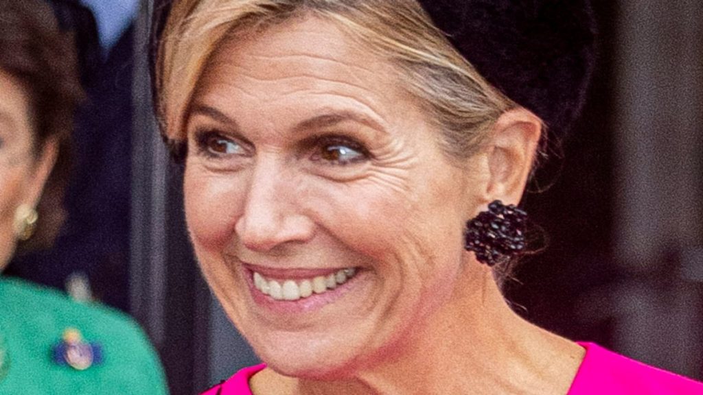Queen Maxima of the Netherlands shimmers in electrical purple sequin get dressed